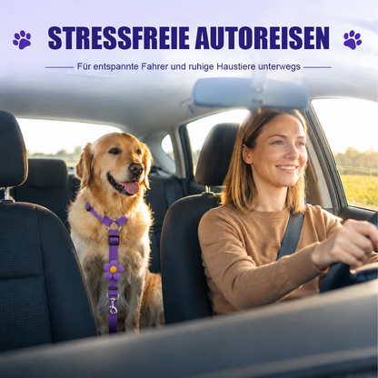 Sicherheitsgurte für Hunde auf Reisen