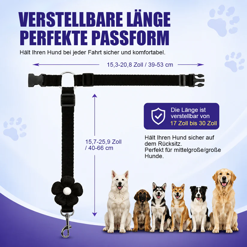 Sicherheitsgurte für Hunde auf Reisen