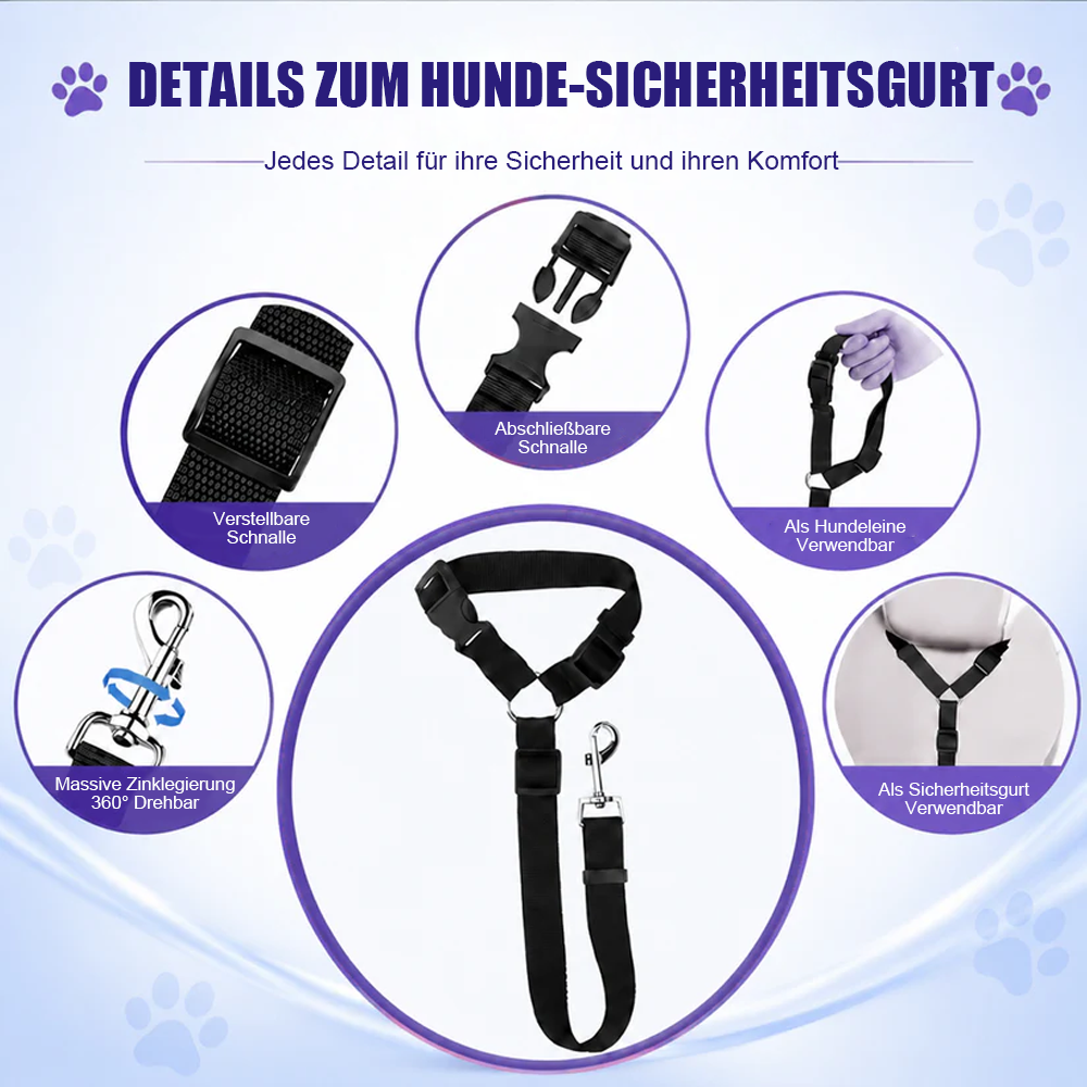 Sicherheitsgurte für Hunde auf Reisen