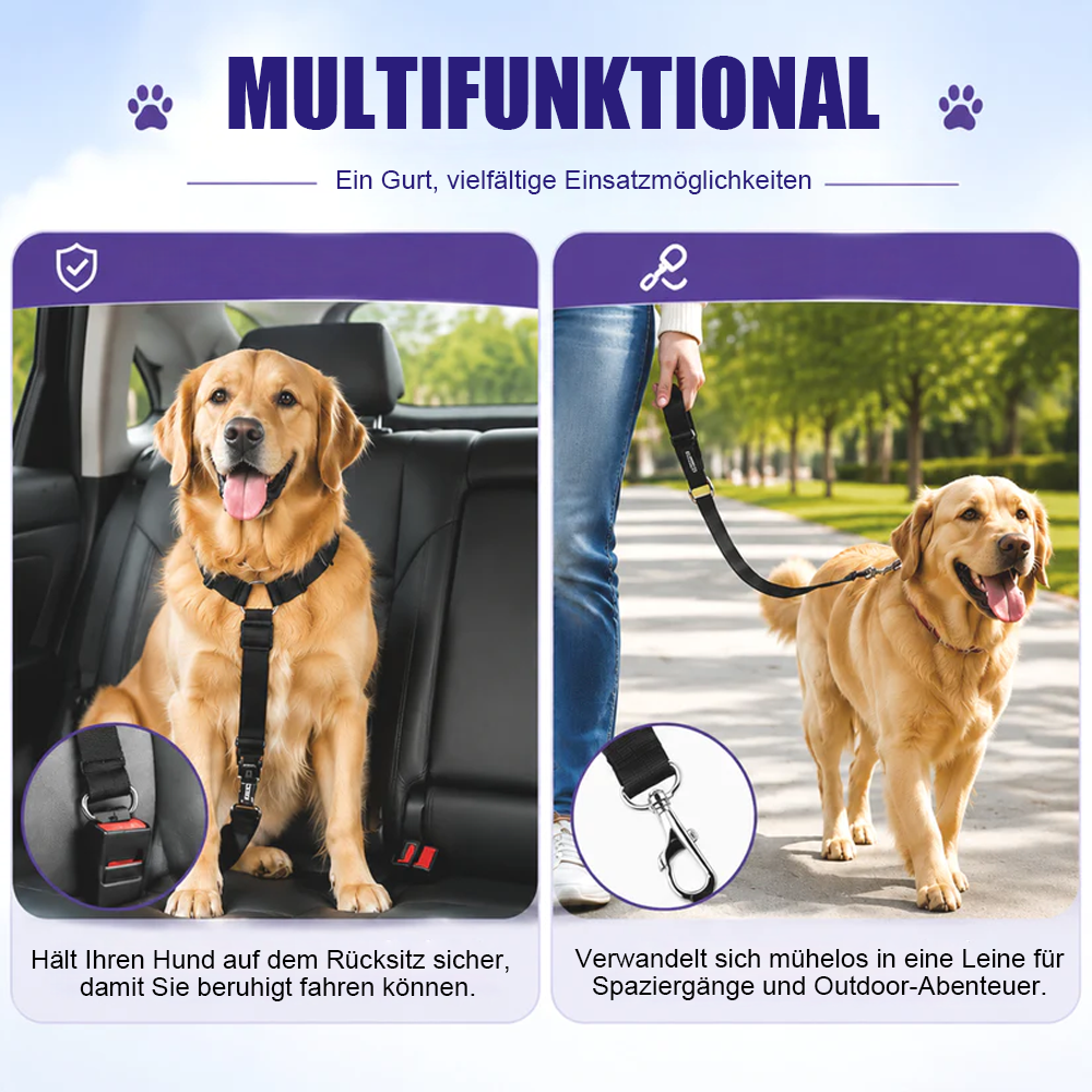 Sicherheitsgurte für Hunde auf Reisen