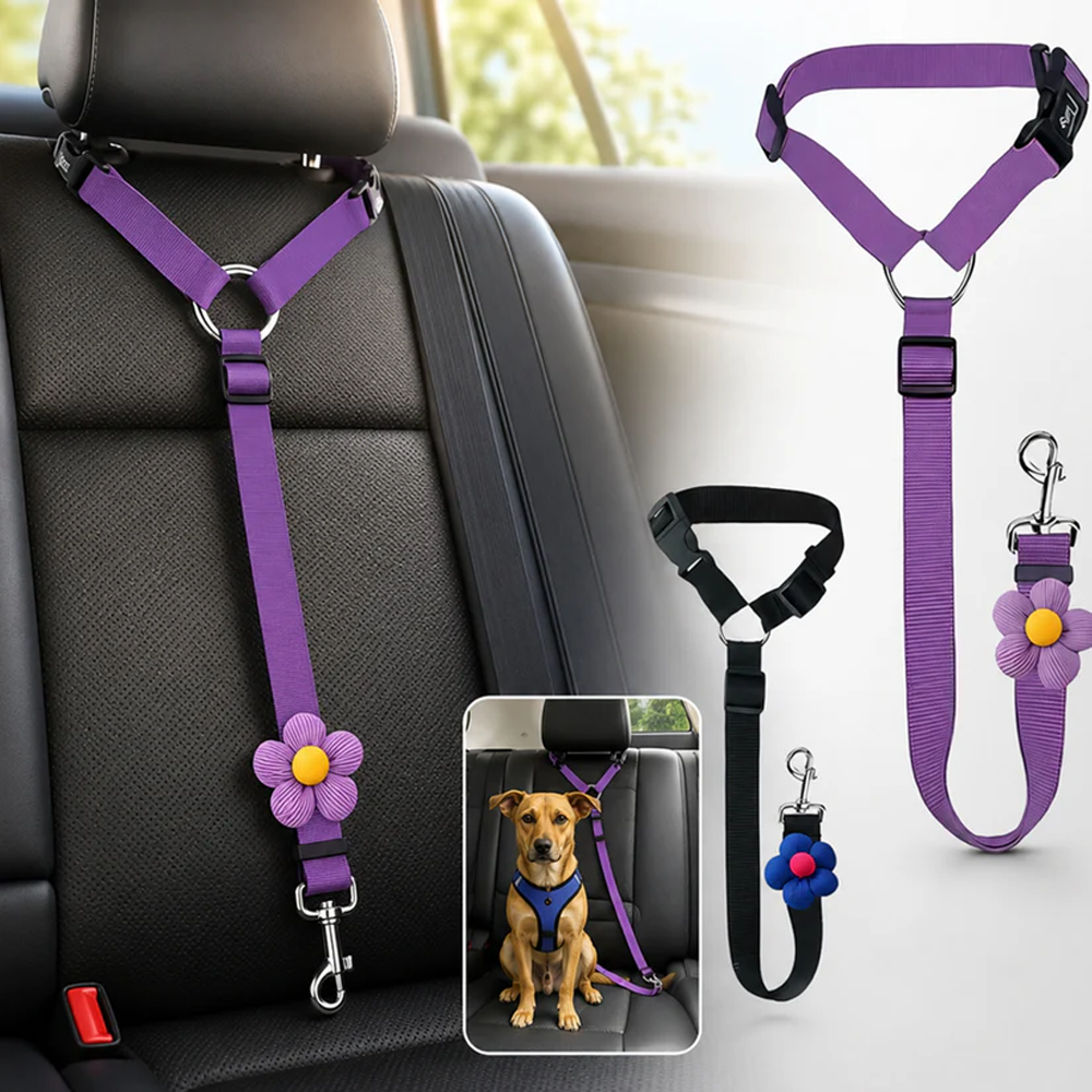 Sicherheitsgurte für Hunde auf Reisen